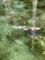 根道神社(岐阜県)