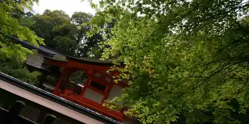 出雲大神宮のその他建物