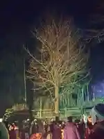 八坂神社の自然