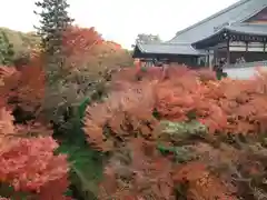 東福禅寺（東福寺）(京都府)