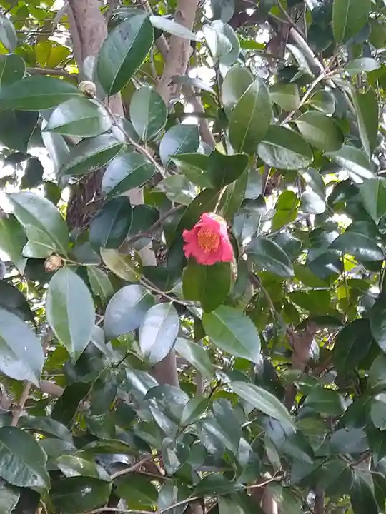 神前神社の自然