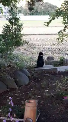高司神社〜むすびの神の鎮まる社〜(福島県)