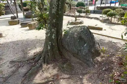 達磨寺のその他建物