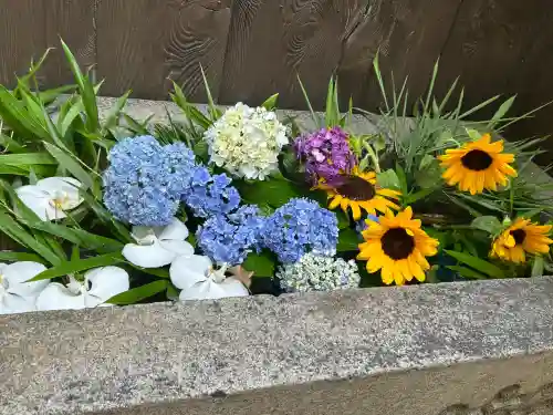 菅生神社(愛知県)