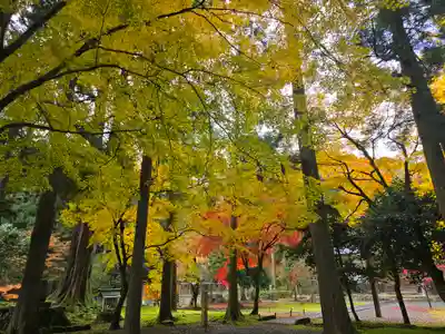 興聖寺(滋賀県)