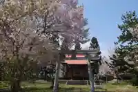 羽黒山神社(西の宮 羽黒山神社)の鳥居