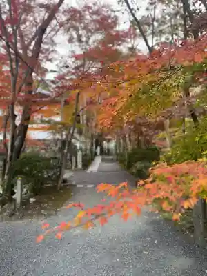 神峯山寺(大阪府)