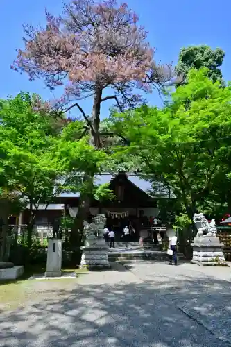春日山神社(新潟県)