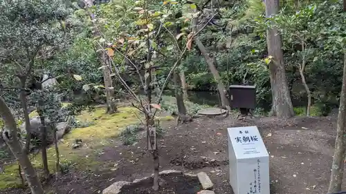 白旗神社の自然