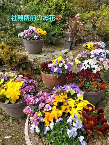 豊景神社(福島県)