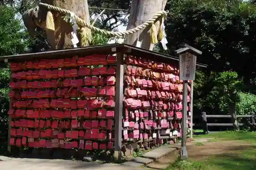 江島神社の絵馬