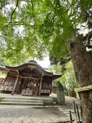 常陸國總社宮(茨城県)