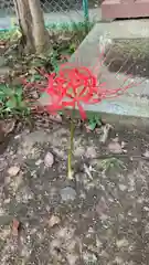 和樂備神社(埼玉県)