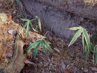 六甲比命大善神社の自然