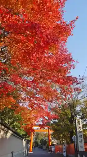 賀茂御祖神社（下鴨神社）の自然