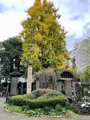 回向院(東京都)