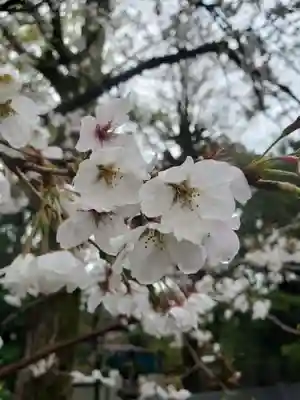 多田神社(東京都)