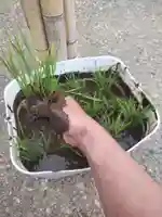 七重浜海津見神社の体験その他