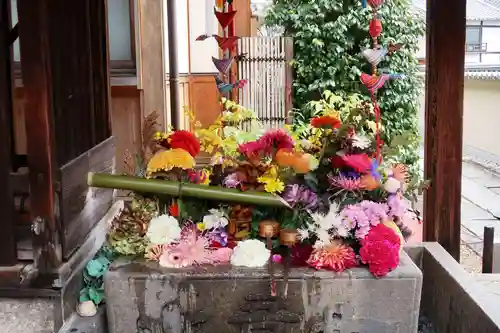 勝林寺(京都府)