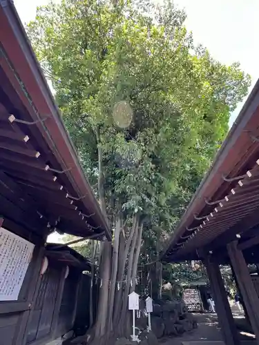 検見川神社の庭園