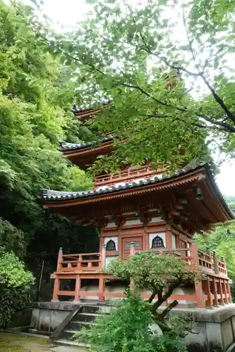 三室戸寺の塔