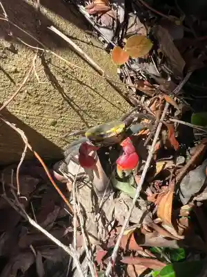 高橋稲荷神社(熊本県)