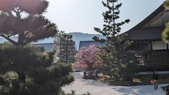 大覚寺(京都府)