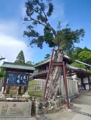 東大寺 二月堂(奈良県)