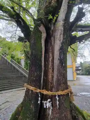 和霊神社(愛媛県)