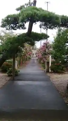 長円寺のその他建物