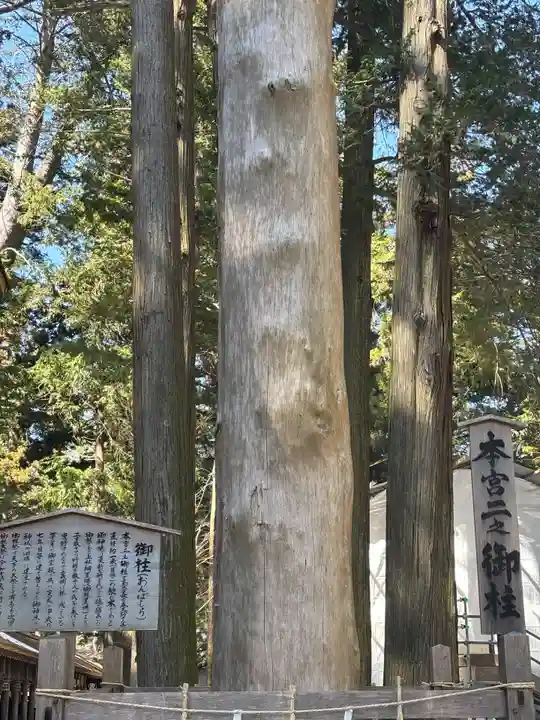 諏訪大社(長野県)