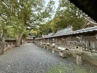 闘鶏神社(和歌山県)