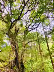 白瀧神社(茨城県)