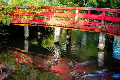 善知鳥神社の庭園