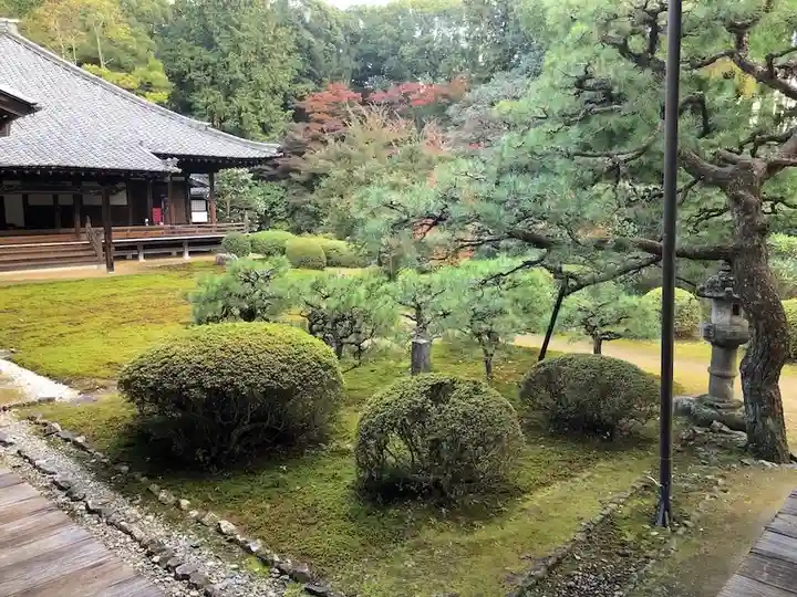 隨心院(随心院)(京都府)