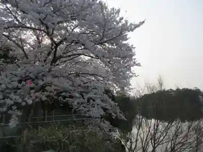あやめ池神社の自然