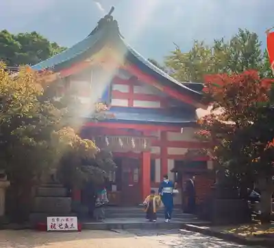 紅葉八幡宮の本殿・本堂