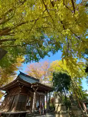 熊野福藏神社の本殿・本堂