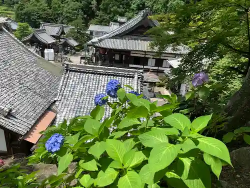 柳谷観音　楊谷寺のその他建物