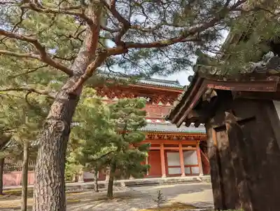 大徳寺(京都府)