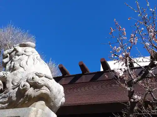 高円寺氷川神社(東京都)