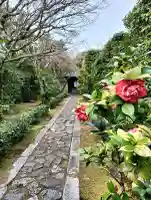 大光院の{uncategorized: "未分類", other: "その他", undefined: "問題あり", building: "その他建物", grave: "お墓", sacred_gate: "鳥居", guardian: "狛犬", statue: "像", buddha: "仏像", history: "歴史", nature: "自然", garden: "庭園", animal: "動物", pagoda: "塔", temizu: "手水舎", mountain_gate: "山門・神門", sanctuary: "本殿・本堂", subordinate: "末社・摂社", art: "芸術", scenery: "景色", jizo: "地蔵", ema: "絵馬", goshuin: "御朱印", omikuji: "おみくじ", items: "授与品その他", amulet: "お守り", goshuincho: "御朱印帳", eats: "食事", festival: "お祭り", votive_dance: "神楽", shichigosan: "七五三参", wedding: "結婚式", experience: "体験その他", initially: "初詣", around: "周辺", anti_infection: "感染症対策"}