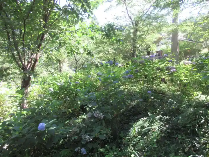 三千院門跡の自然