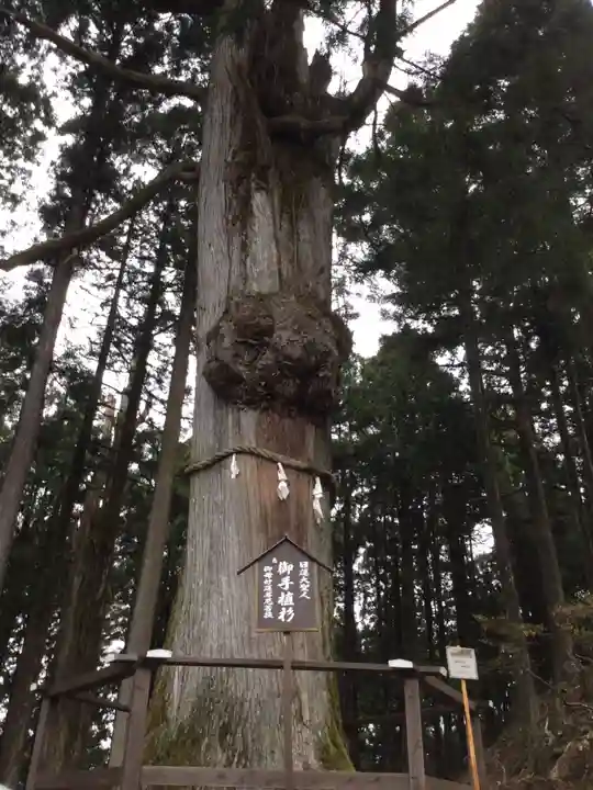 身延山奥之院思親閣(山梨県)