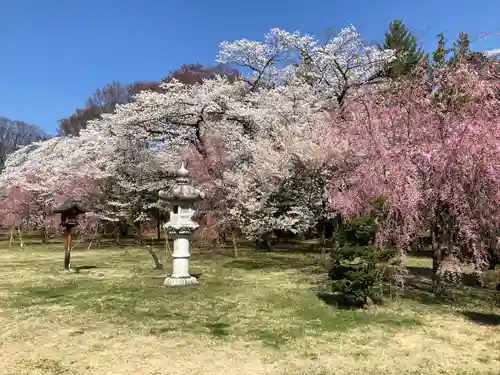 長野縣護國神社の自然