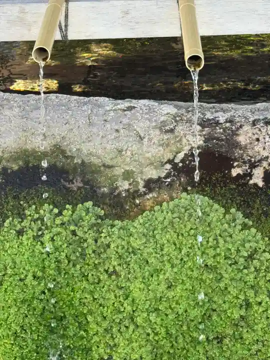 桑名宗社(春日神社)(三重県)
