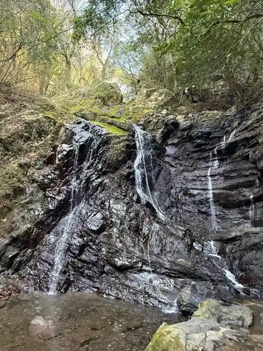 大本山七宝瀧寺の{uncategorized: "未分類", other: "その他", undefined: "問題あり", building: "その他建物", grave: "お墓", sacred_gate: "鳥居", guardian: "狛犬", statue: "像", buddha: "仏像", history: "歴史", nature: "自然", garden: "庭園", animal: "動物", pagoda: "塔", temizu: "手水舎", mountain_gate: "山門・神門", sanctuary: "本殿・本堂", subordinate: "末社・摂社", art: "芸術", scenery: "景色", jizo: "地蔵", ema: "絵馬", goshuin: "御朱印", omikuji: "おみくじ", items: "授与品その他", amulet: "お守り", goshuincho: "御朱印帳", eats: "食事", festival: "お祭り", votive_dance: "神楽", shichigosan: "七五三参", wedding: "結婚式", experience: "体験その他", initially: "初詣", around: "周辺", anti_infection: "感染症対策"}
