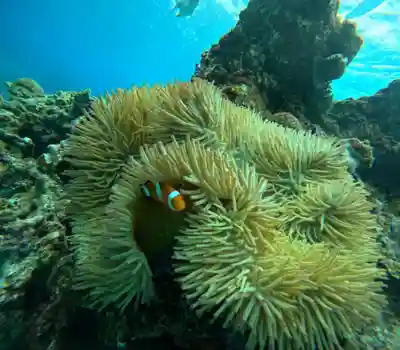 宮古神社(沖縄県)