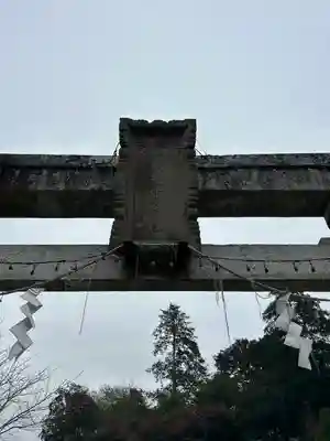 賀茂別雷神社(栃木県)