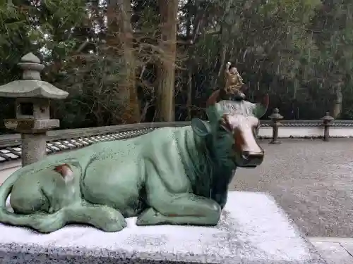 金剛證寺の{uncategorized: "未分類", other: "その他", undefined: "問題あり", building: "その他建物", grave: "お墓", sacred_gate: "鳥居", guardian: "狛犬", statue: "像", buddha: "仏像", history: "歴史", nature: "自然", garden: "庭園", animal: "動物", pagoda: "塔", temizu: "手水舎", mountain_gate: "山門・神門", sanctuary: "本殿・本堂", subordinate: "末社・摂社", art: "芸術", scenery: "景色", jizo: "地蔵", ema: "絵馬", goshuin: "御朱印", omikuji: "おみくじ", items: "授与品その他", amulet: "お守り", goshuincho: "御朱印帳", eats: "食事", festival: "お祭り", votive_dance: "神楽", shichigosan: "七五三参", wedding: "結婚式", experience: "体験その他", initially: "初詣", around: "周辺", anti_infection: "感染症対策"}